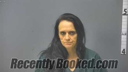 Recent Mugshot Image for MICHELLE LEE TERRELL in Rockingham County, Virginia