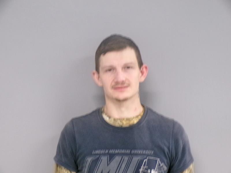 Recent Mugshot Image for David Lee Hamilton in Russell County, Virginia