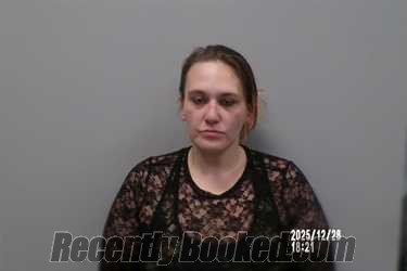 Recent Mugshot Image for Jamie Michelle Snavely in Russell County, Virginia