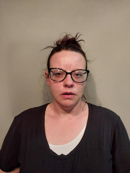 Recent Mugshot Image for Lynda Rennaye Winnard in Scott County, Virginia