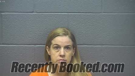 Recent Mugshot Image for Tammy LYNN Allue in Shenandoah County, Virginia