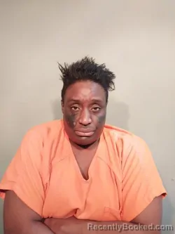 Recent Mugshot Image for Enjoli Shanta Turner in Smyth County, Virginia