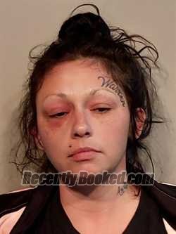 Recent Mugshot Image for Amanda Leigh Schwartzman in Washington County, Virginia