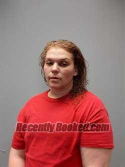 Recent Mugshot Image for BRITTANY RANAE DENNIS in Washington County, Virginia