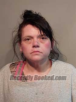 Recent Mugshot Image for Candice Rene Crabtree in Washington County, Virginia