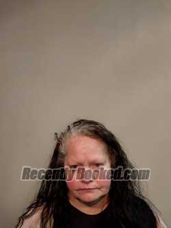 Recent Mugshot Image for Christy June Elliott in Washington County, Virginia
