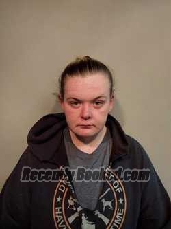 Recent Mugshot Image for Courtney Lynn Palmer in Washington County, Virginia