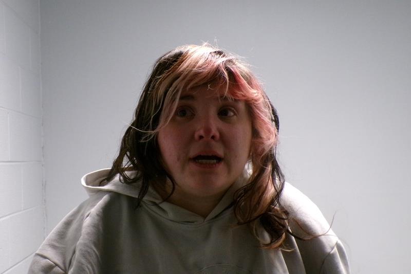 Recent Mugshot Image for Katie Marie Blevins in Washington County, Virginia