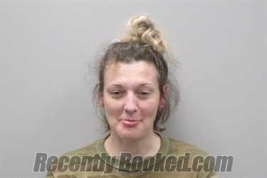 Recent Mugshot Image for LESHAY NICOLE RHOTON in Washington County, Virginia
