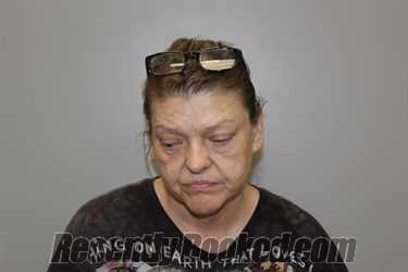 Recent Mugshot Image for Melinda Robin Davis in Washington County, Virginia