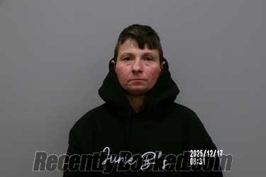 Recent Mugshot Image for Samantha Lynn Bartley in Washington County, Virginia