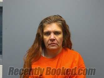 Recent Mugshot Image for SARAH BETH MEADOWS in Washington County, Virginia