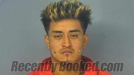 Recent Mugshot Image for DENNIS ARNOLDO ZELEDON HERNANDEZ in York County, Virginia