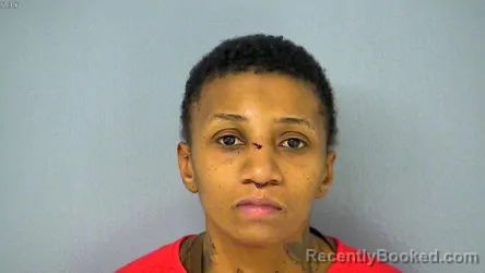 Recent Mugshot Image for LAKENYA SHANTEE HOLLIS in York County, Virginia