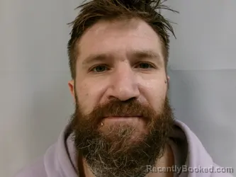 Recent Mugshot Image for David Lee McGee in Barbour County, West Virginia