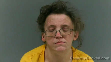 Recent Mugshot Image for Katie Jane Holstine in Boone County, West Virginia