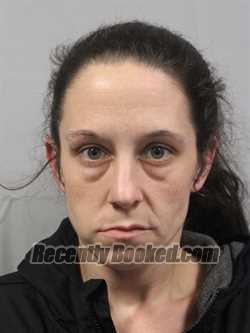 Recent Mugshot Image for Megan Nicole Freshour in Clay County, West Virginia