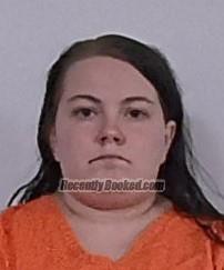 Recent Mugshot Image for Ashley Nicole Delawder in Hardy County, West Virginia