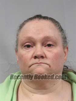 Recent Mugshot Image for Liza Michelle Fleming in Jackson County, West Virginia