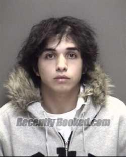 Recent Mugshot Image for ADRIAN JAVIER HERNANDEZ in Galveston County, Texas