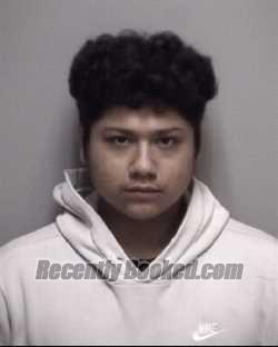 Recent Mugshot Image for JORGE . FLORES in Galveston County, Texas