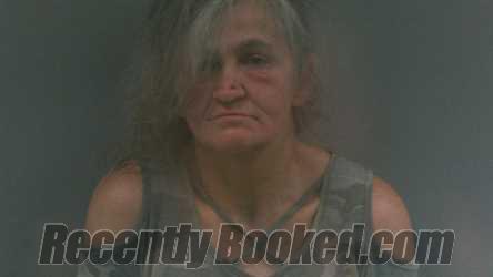 Recent Mugshot Image for Jennifer Ann Jarrell in Lincoln County, West Virginia
