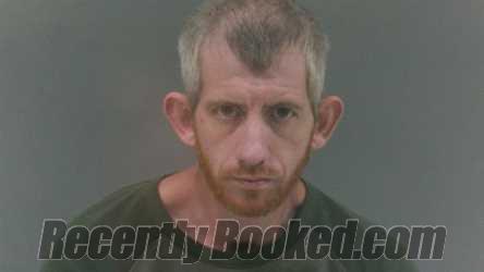 Recent Mugshot Image for Donald Lee Ellis in Logan County, West Virginia