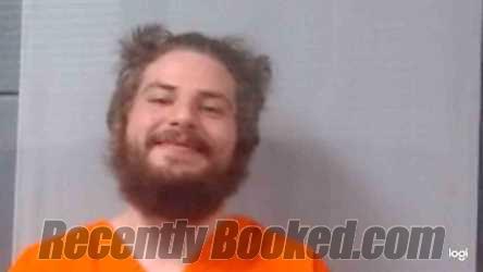 Recent Mugshot Image for Elbert Johnathan Davis in Logan County, West Virginia
