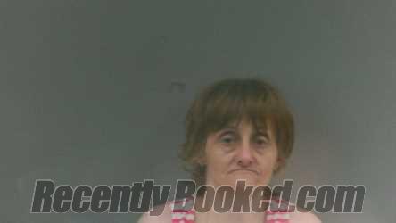 Recent Mugshot Image for Robin Lynn Whitt in Logan County, West Virginia