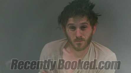 Recent Mugshot Image for Tyler Ward Workman in Logan County, West Virginia