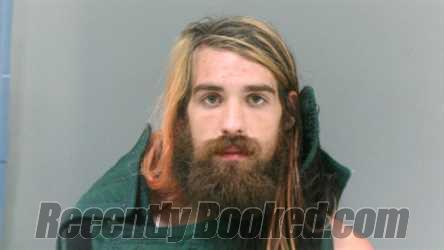 Recent Mugshot Image for Devon Mullins in McDowell County, West Virginia