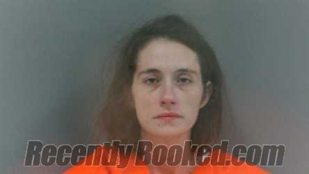 Recent Mugshot Image for Diana Marie Campbell in McDowell County, West Virginia