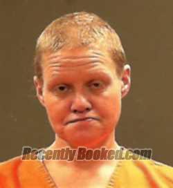 Recent Mugshot Image for Erin Rose Fahey in Marshall County, West Virginia