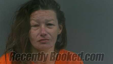Recent Mugshot Image for Debra Ann Miller in Mingo County, West Virginia