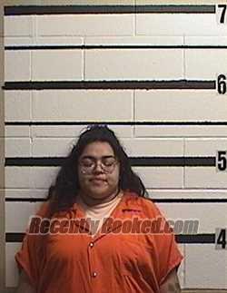 Recent Mugshot Image for BRITTANY CEBALLOS in Garza County, Texas