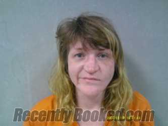 Recent Mugshot Image for Tani Danielle Weaver in Nicholas County, West Virginia