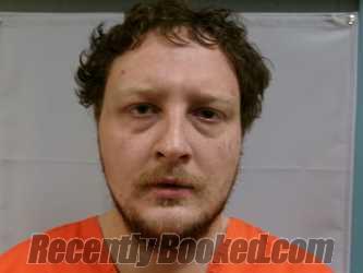 Recent Mugshot Image for Logan Blaine Jenkins in Preston County, West Virginia