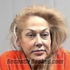 Recent Mugshot Image for Annette Maria Devries in Putnam County, West Virginia
