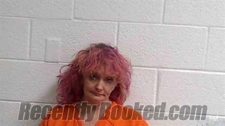 Recent Booking / Mugshot for Michelle Lynn Mullins in Raleigh County