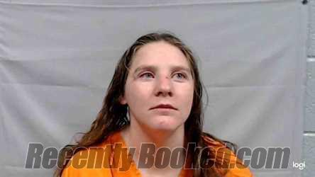 Recent Mugshot Image for Sarah Jane Smyth in Raleigh County, West Virginia