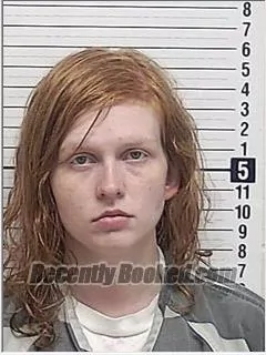 Recent Mugshot Image for DESTINY NICHOLE ARMSTRONG in Bay County, Florida