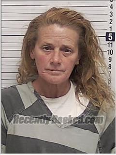 Recent Mugshot Image for TERESA ELIZABETH HEITZIG in Bay County, Florida