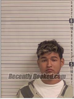 Recent Mugshot Image for DANIEL ANDRES PEREZ-BURGOS in Bay County, Florida