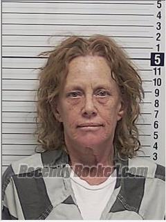 Recent Mugshot Image for SHARON MARIE DAVIS in Bay County, Florida