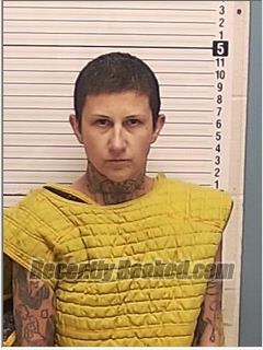 Recent Mugshot Image for CAROLINE OLIVIA HOLLAND in Bay County, Florida