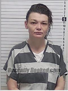 Recent Mugshot Image for ANGEL MARIE CHANDLER in Bay County, Florida