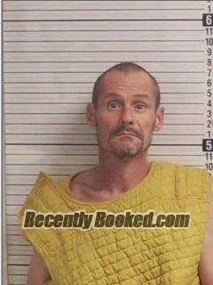 Recent Mugshot Image for DAVID ALLEN II ANDERSON in Bay County, Florida