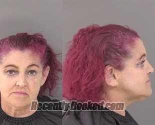 Recent Mugshot Image for Joan Claudette Hagene in Indian River County, Florida