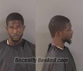 Recent Mugshot Image for Brandon Damon Ross in Indian River County, Florida