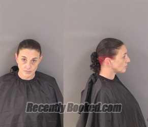 Recent Mugshot Image for Lauren Elizabeth Endres in Indian River County, Florida